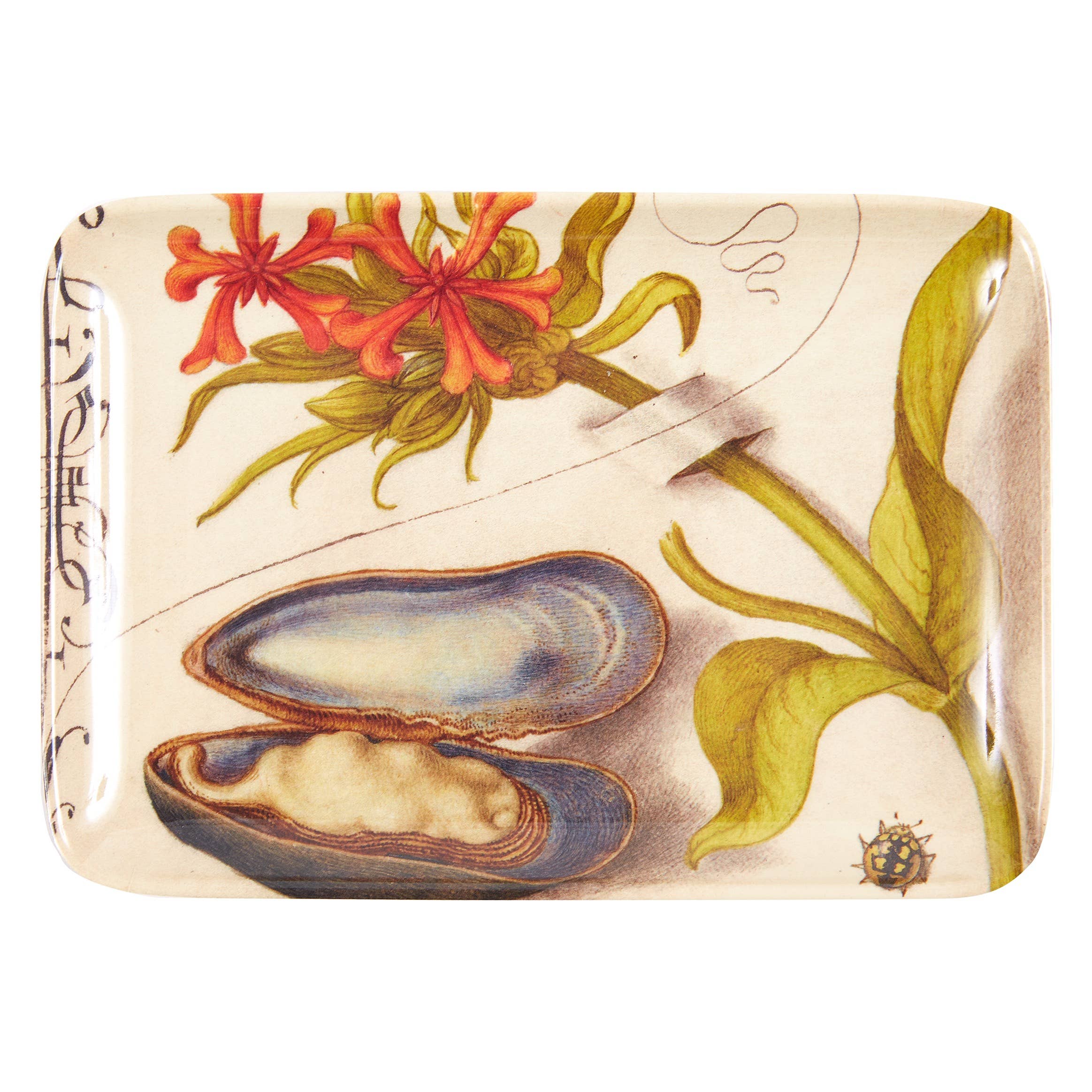 Botaniste Valet Trays Set of Six