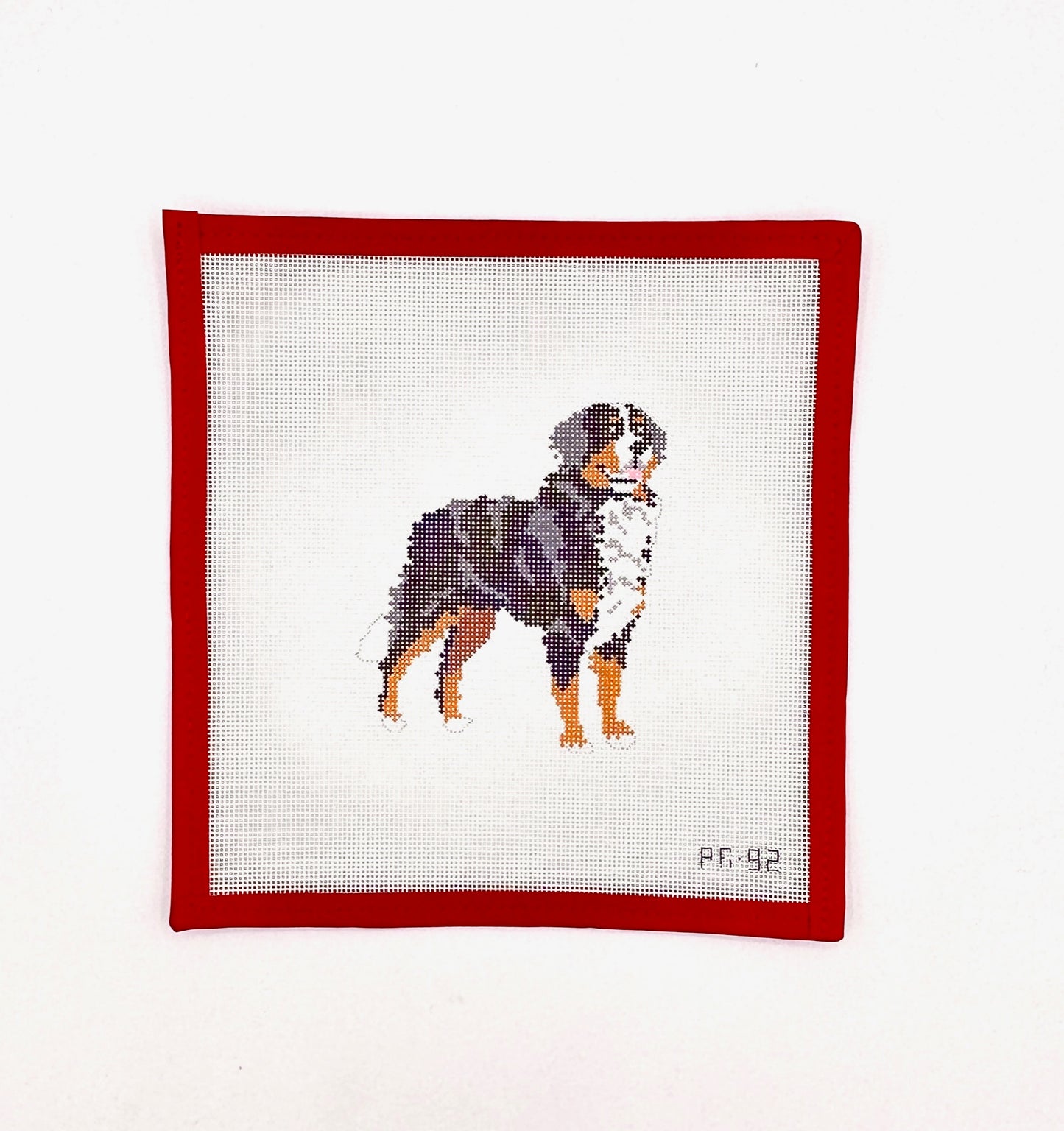 Bernese Mountain Dog