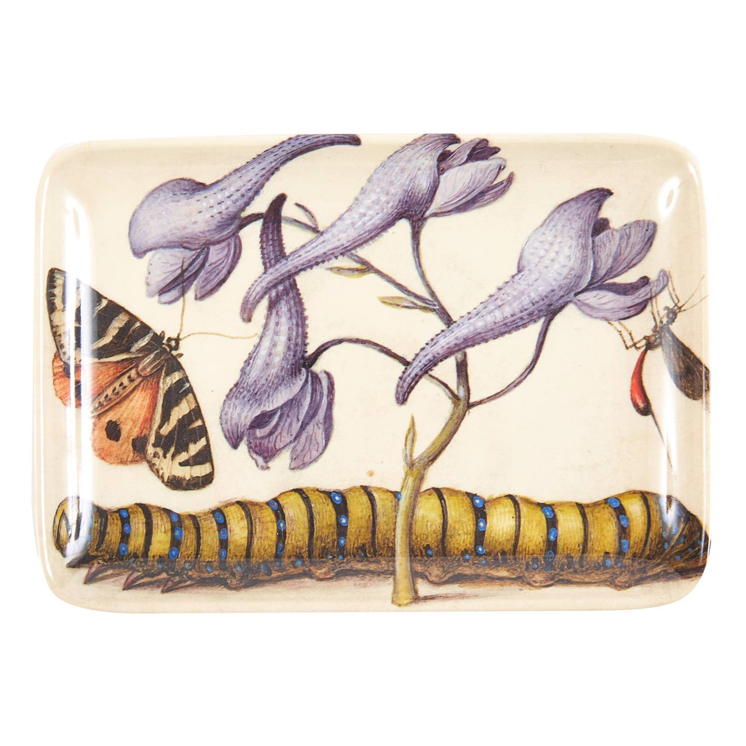 Botaniste Valet Trays Set of Six