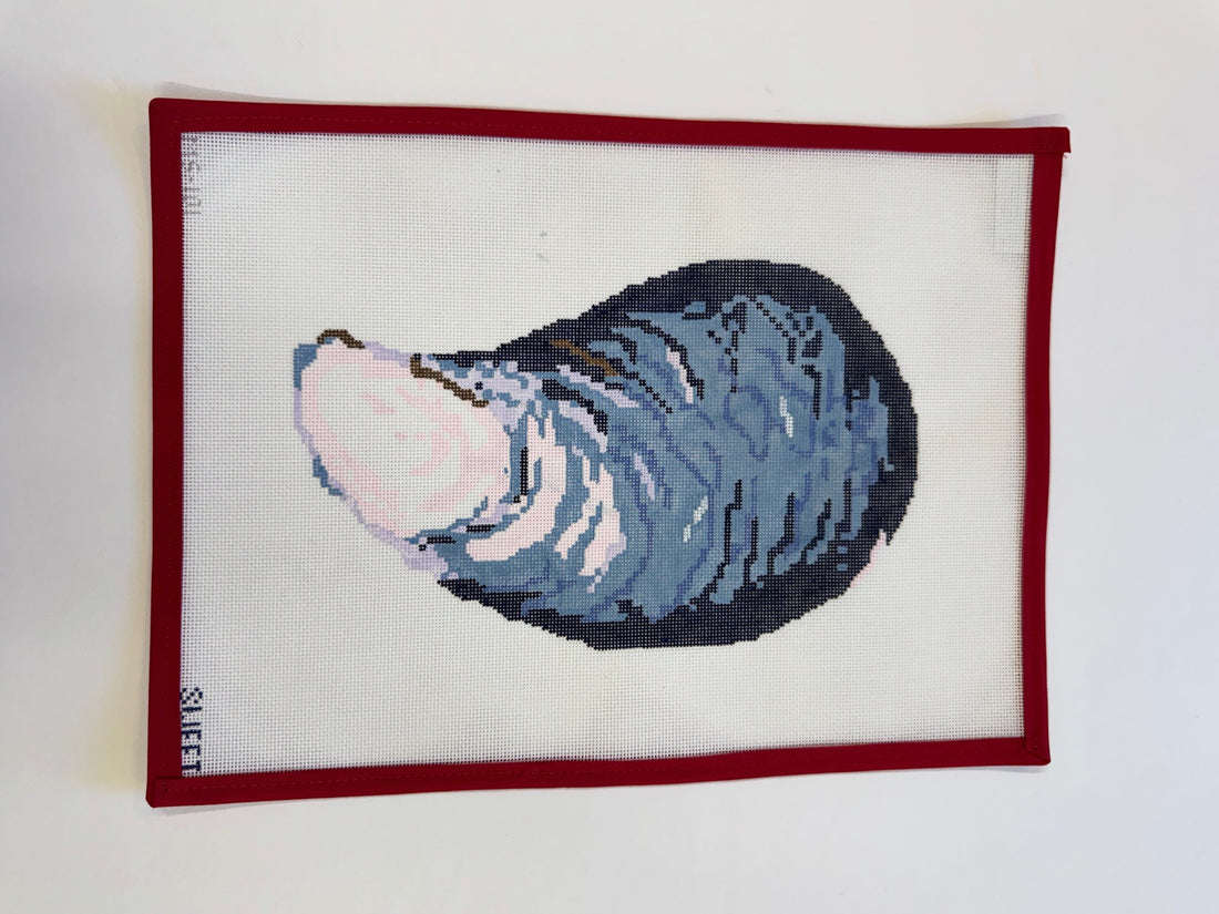 Mussel Shell