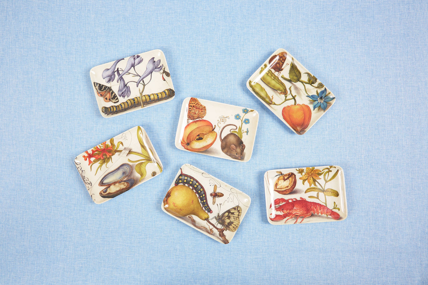 Botaniste Valet Trays Set of Six