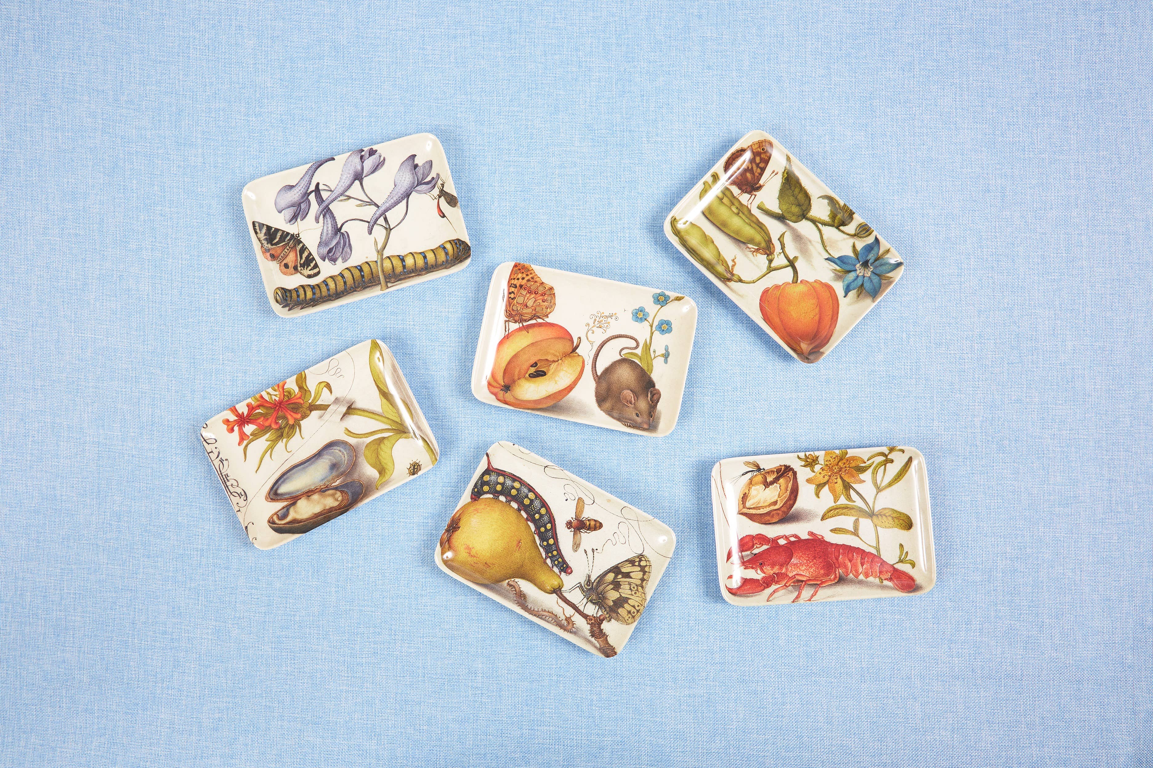 Botaniste Valet Trays Set of Six
