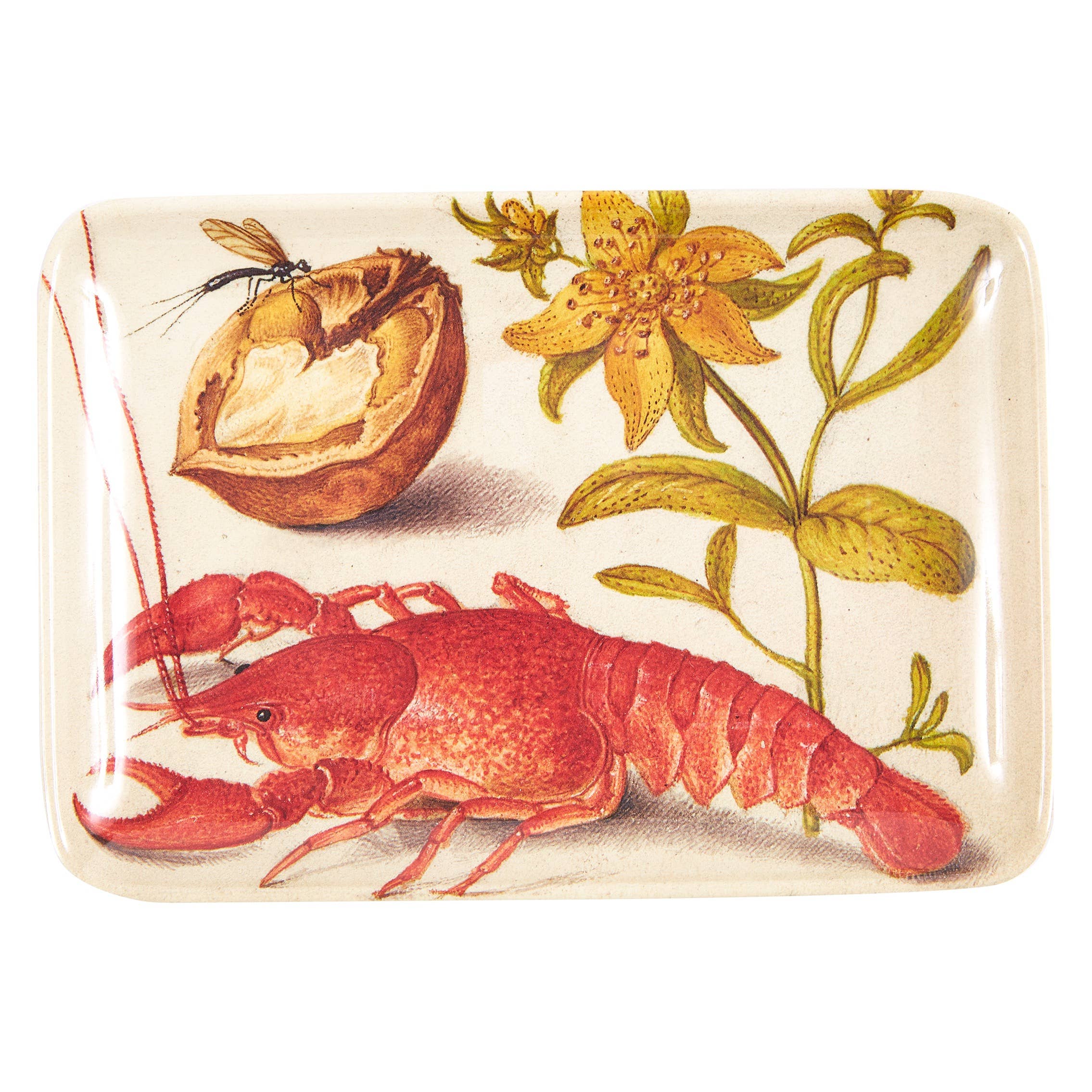 Botaniste Valet Trays Set of Six