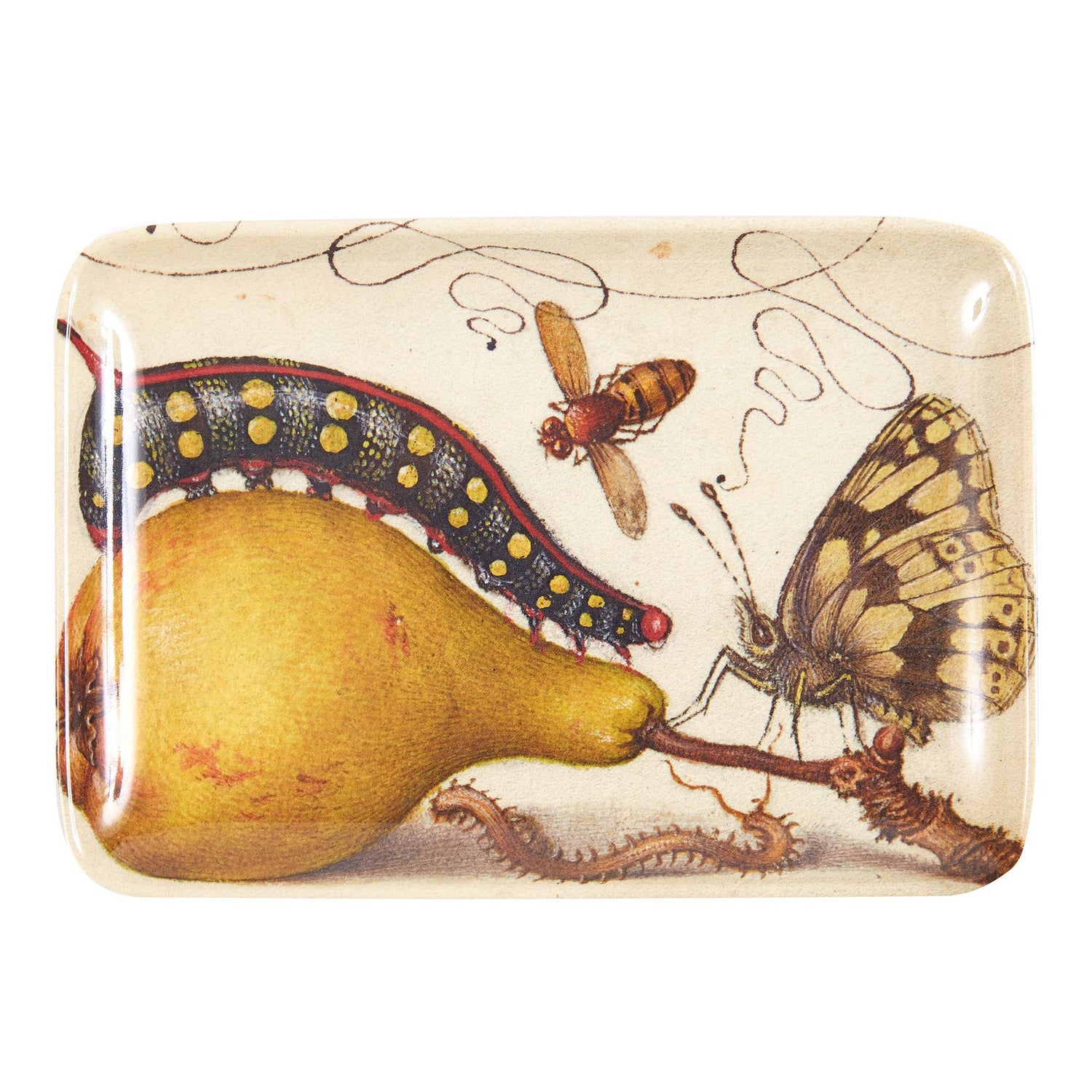 Botaniste Valet Trays Set of Six