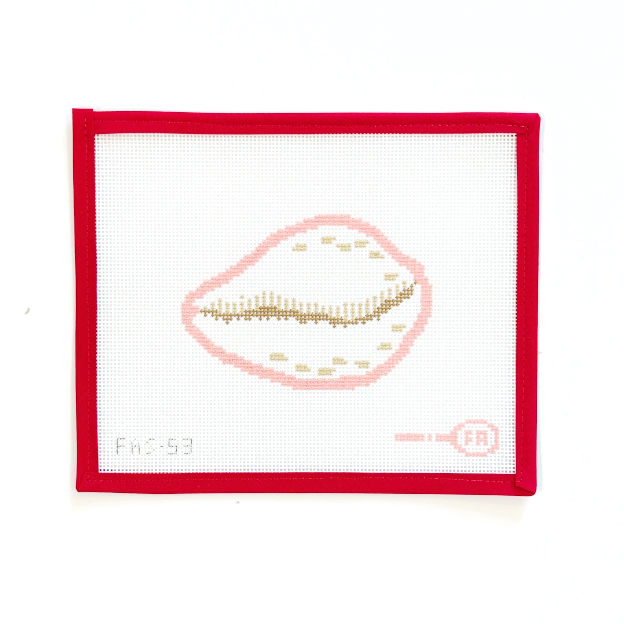 Cowrie Shell