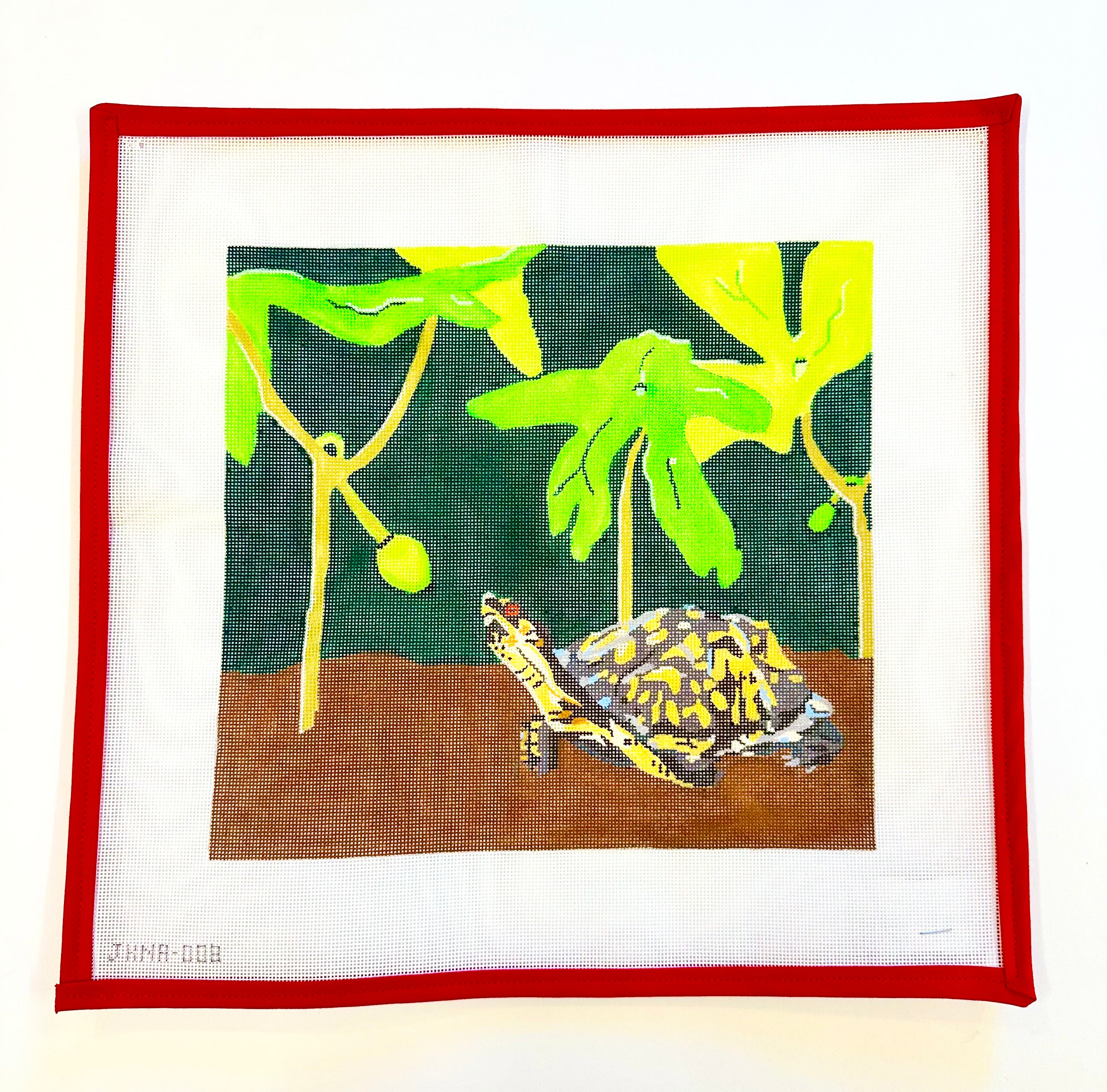 Red Eared Slider Turtle