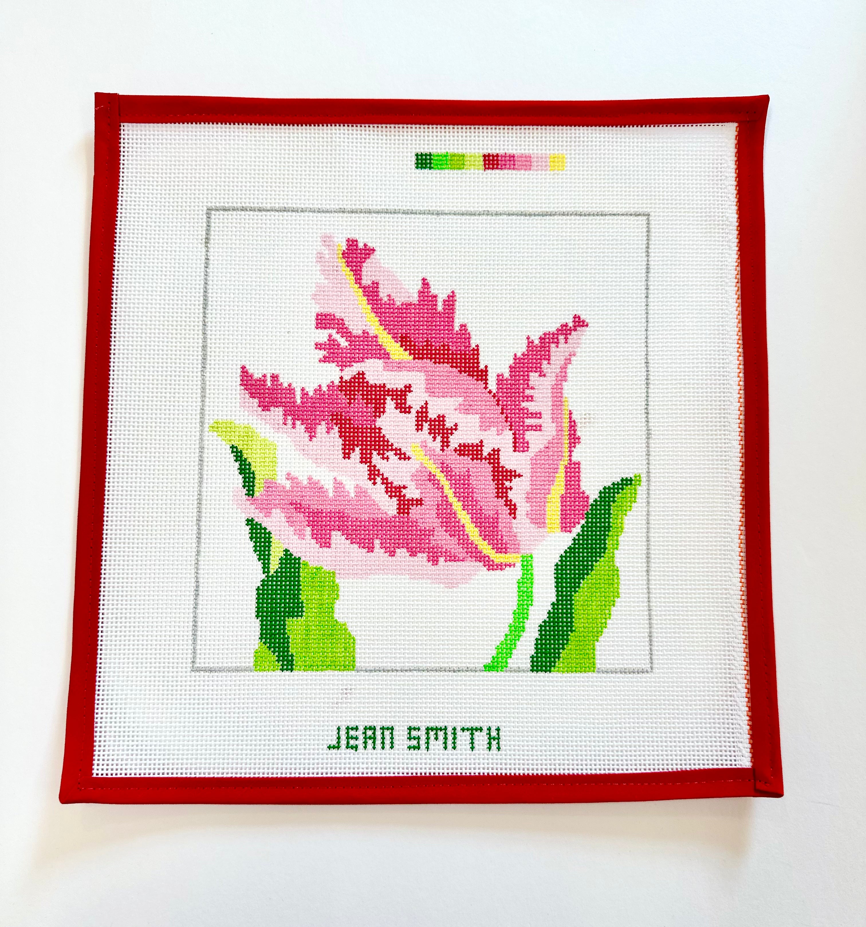 Pink Parrot Tulip