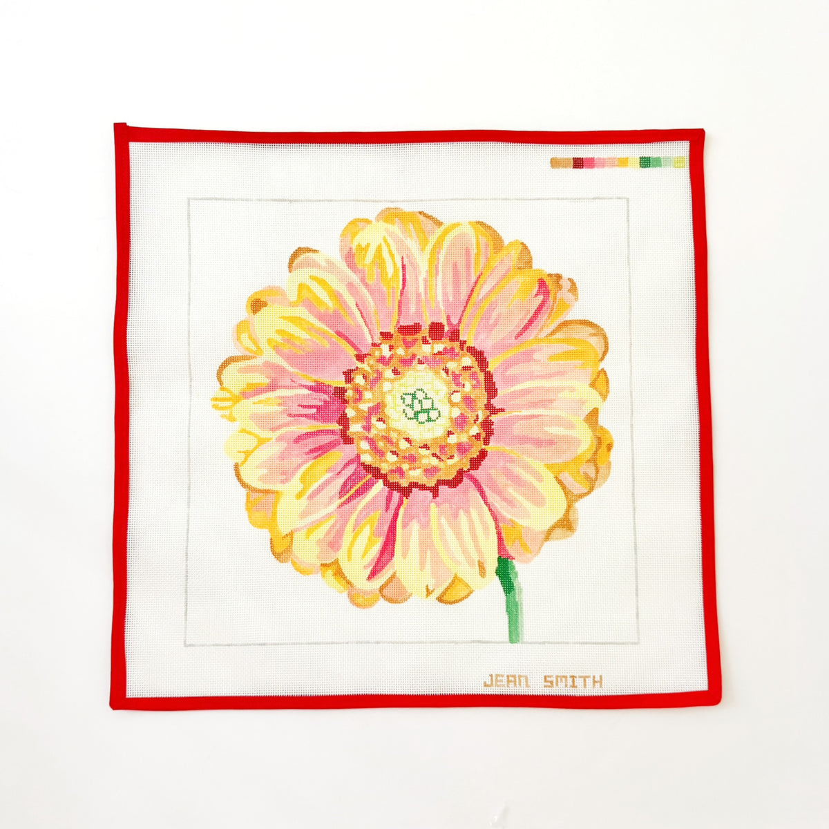 Regal Sunset Daisy
