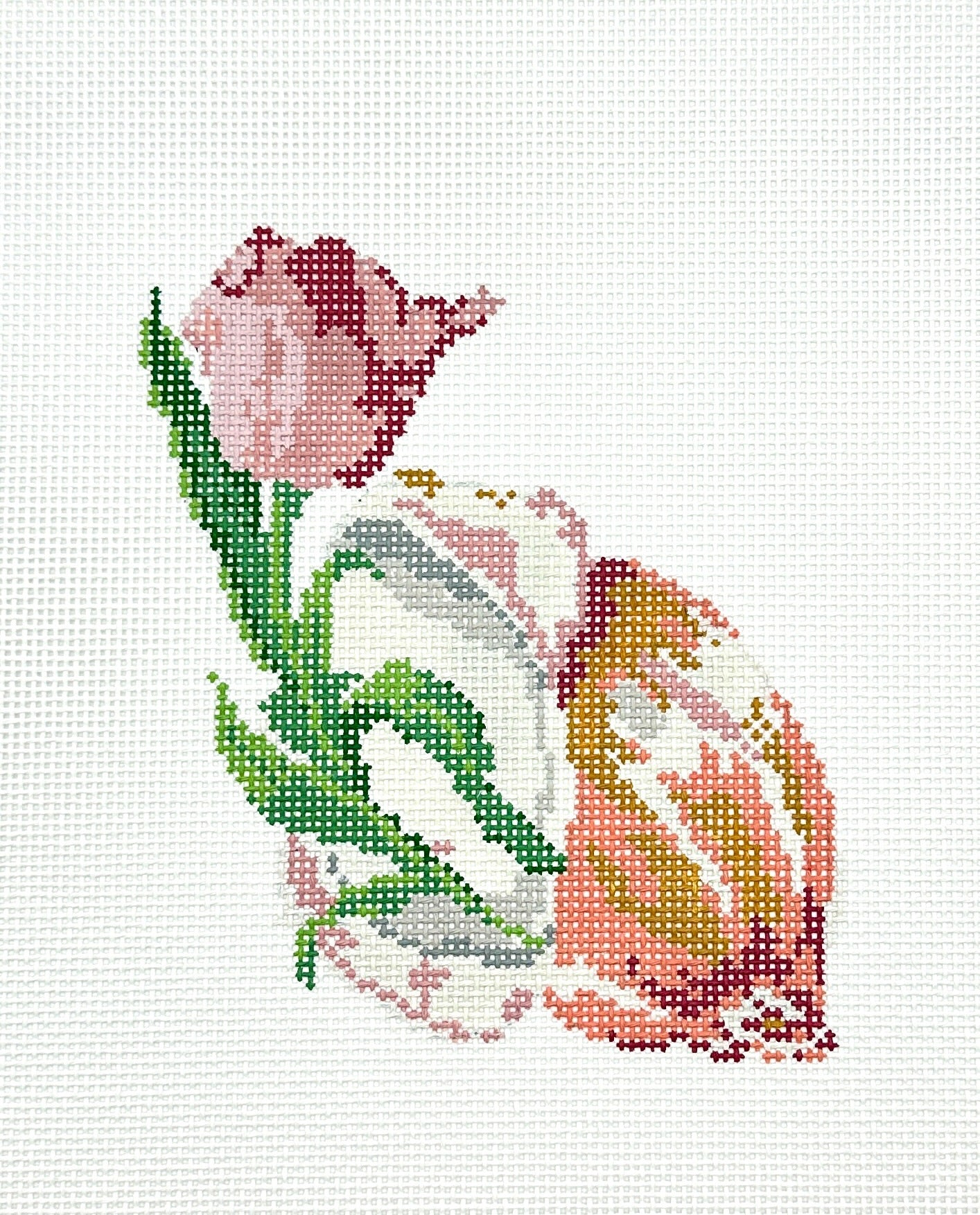Tulip in Shell