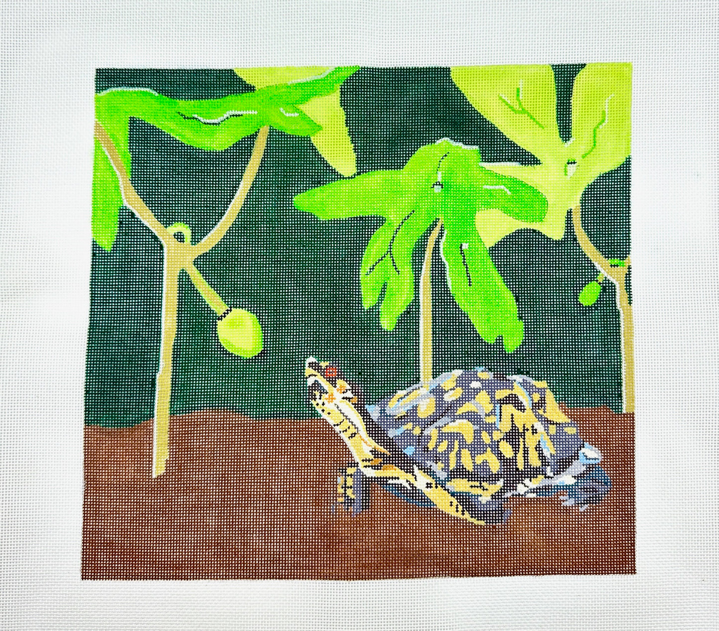 Red Eared Slider Turtle