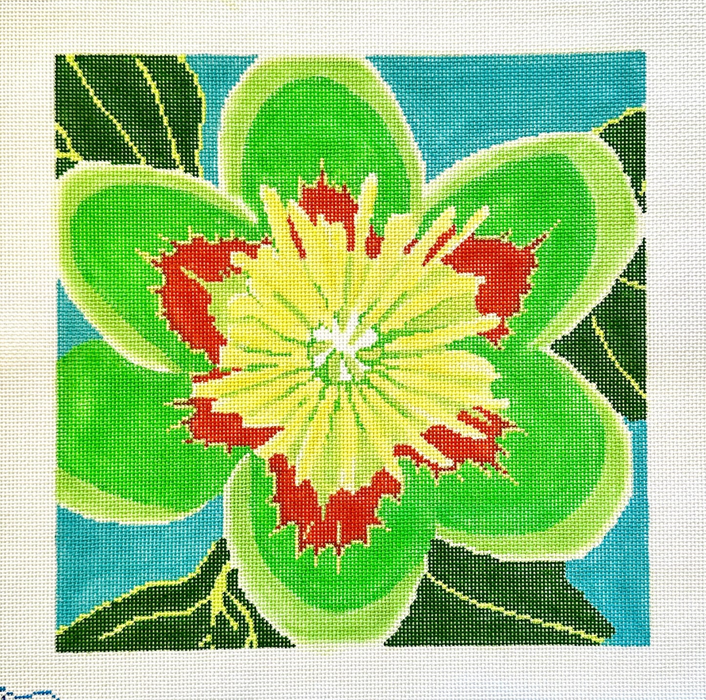 Tulip Poplar
