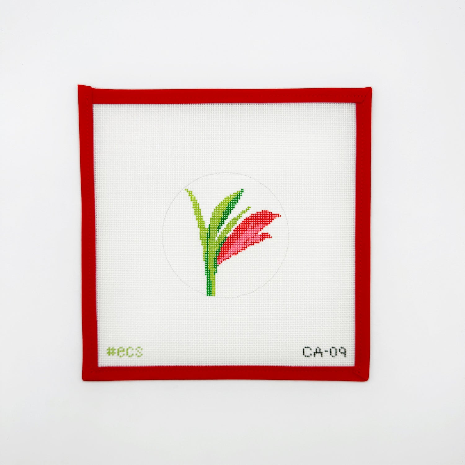 Amaryllis