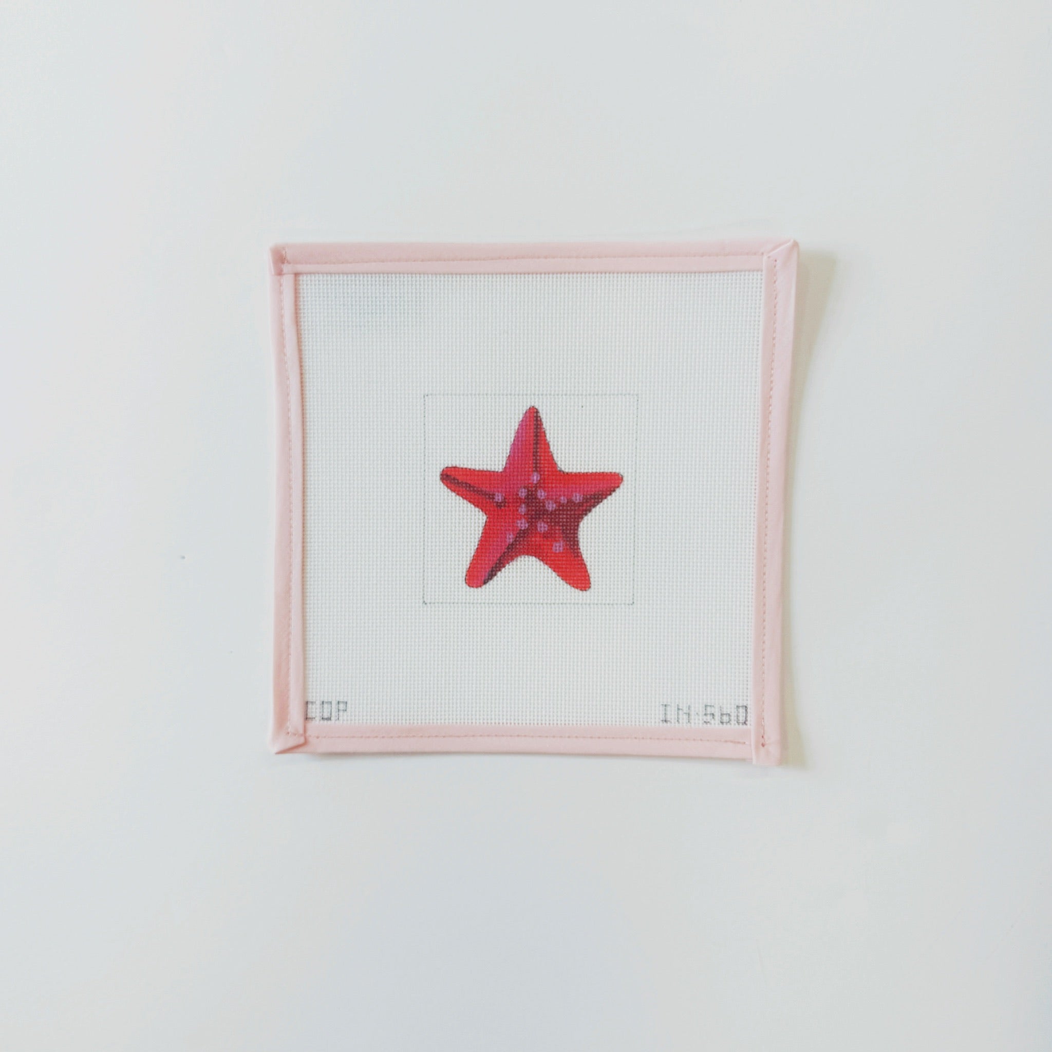 Star fishColors of PraiseCanvasThe Red Thread Atelier