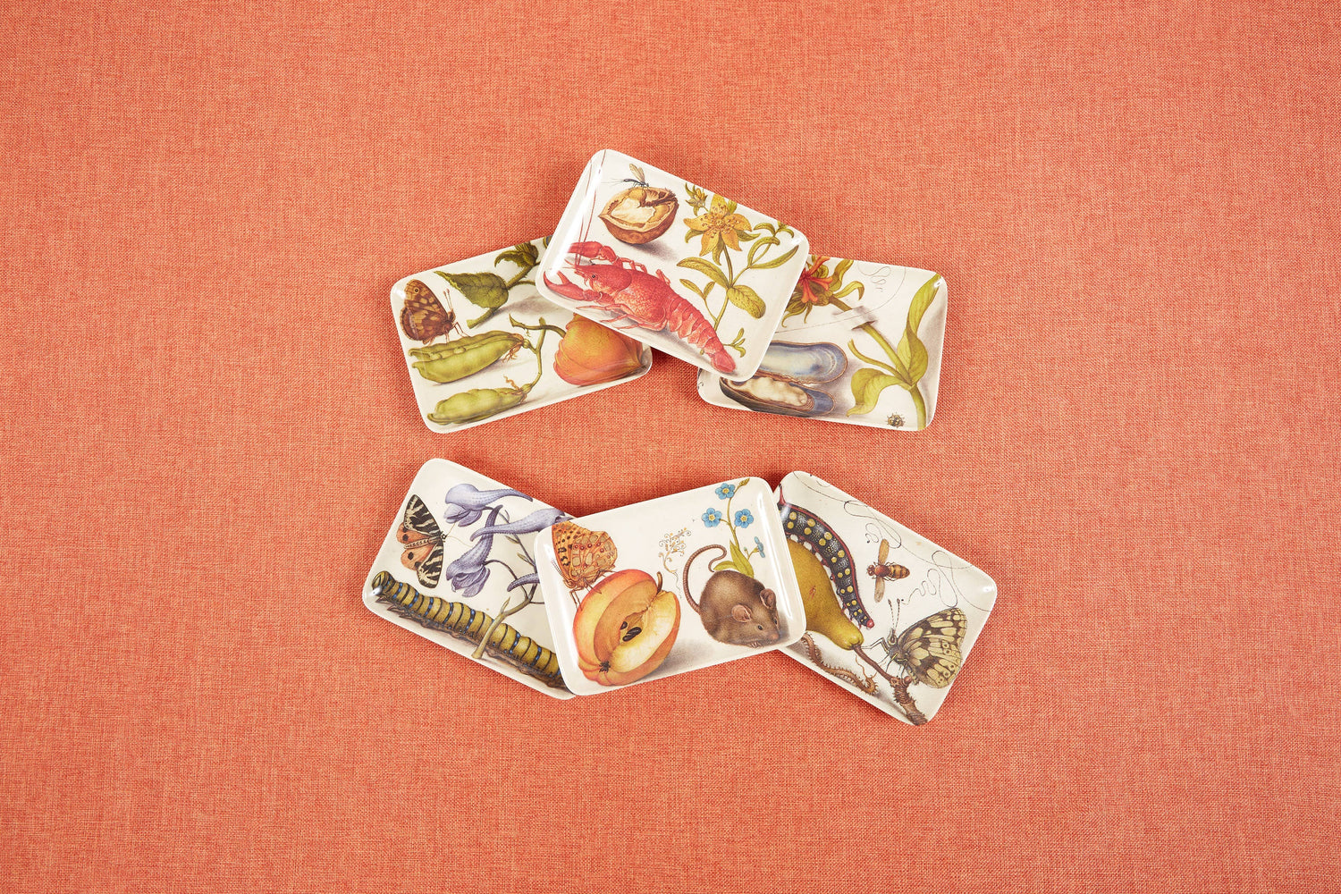 Botaniste Valet Trays Set of Six