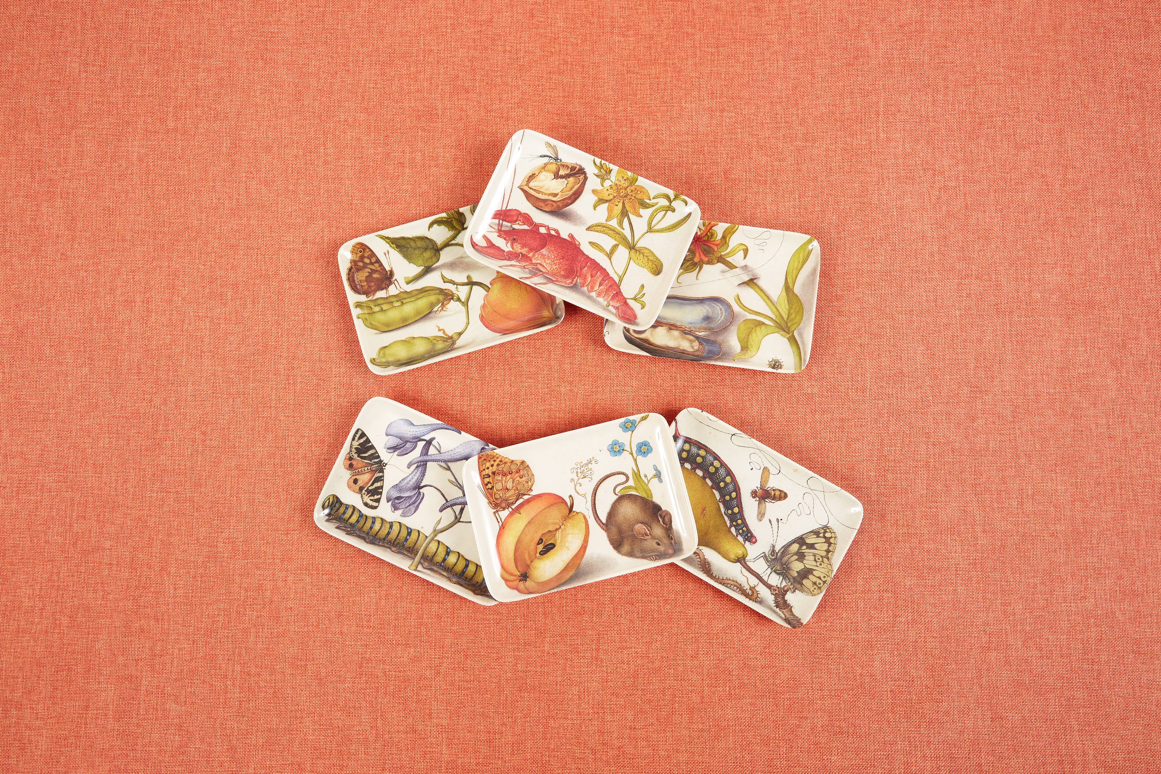 Botaniste Valet Trays Set of Six