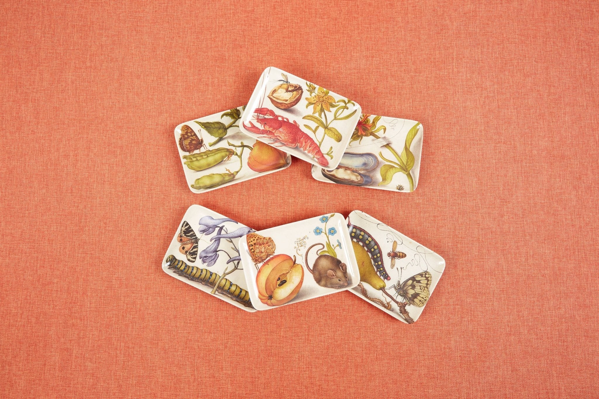 Botaniste Valet Trays Set of SixSiren SongAccessoryThe Red Thread Atelier