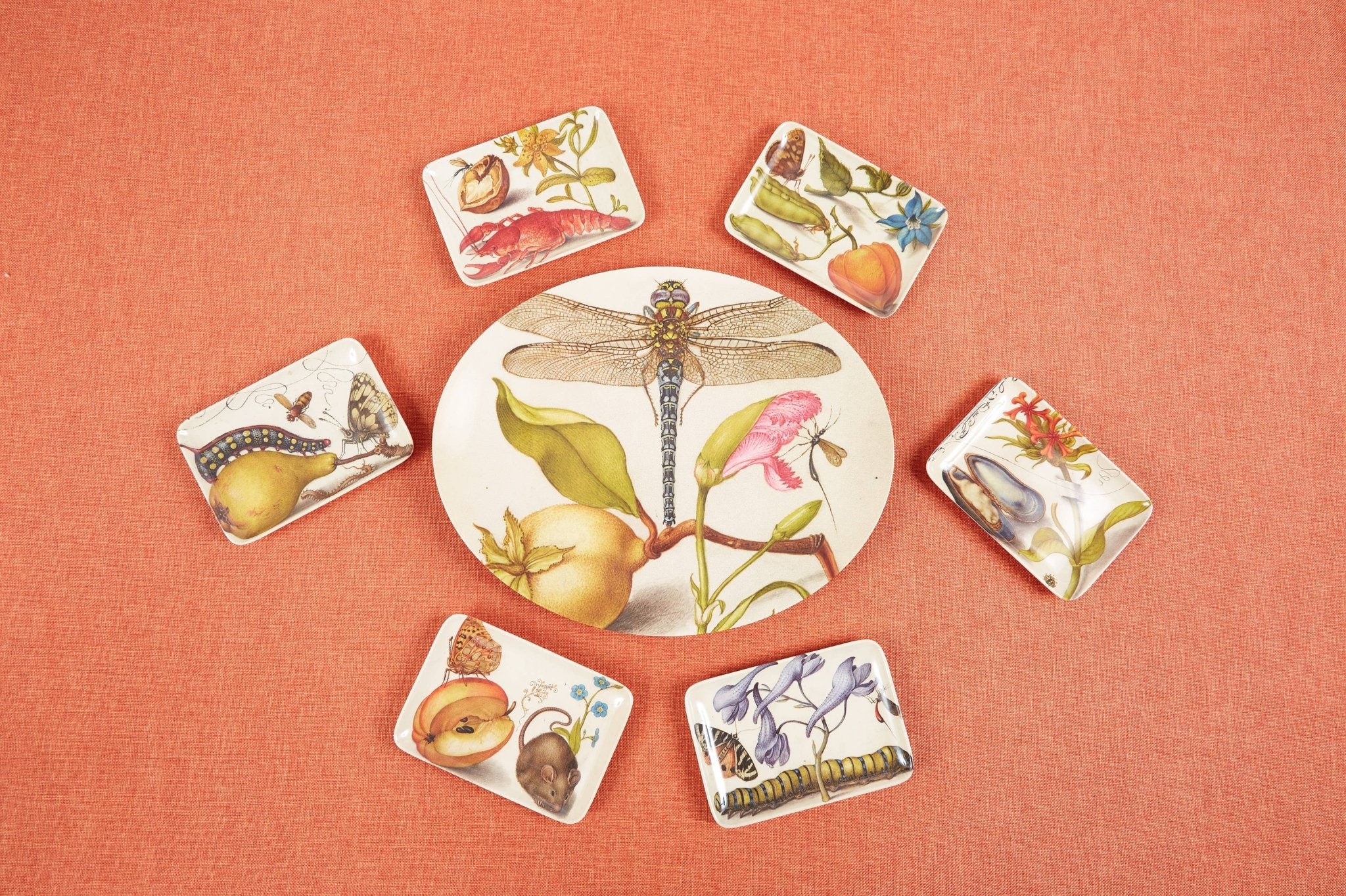 Botaniste Valet Trays Set of SixSiren SongAccessoryThe Red Thread Atelier