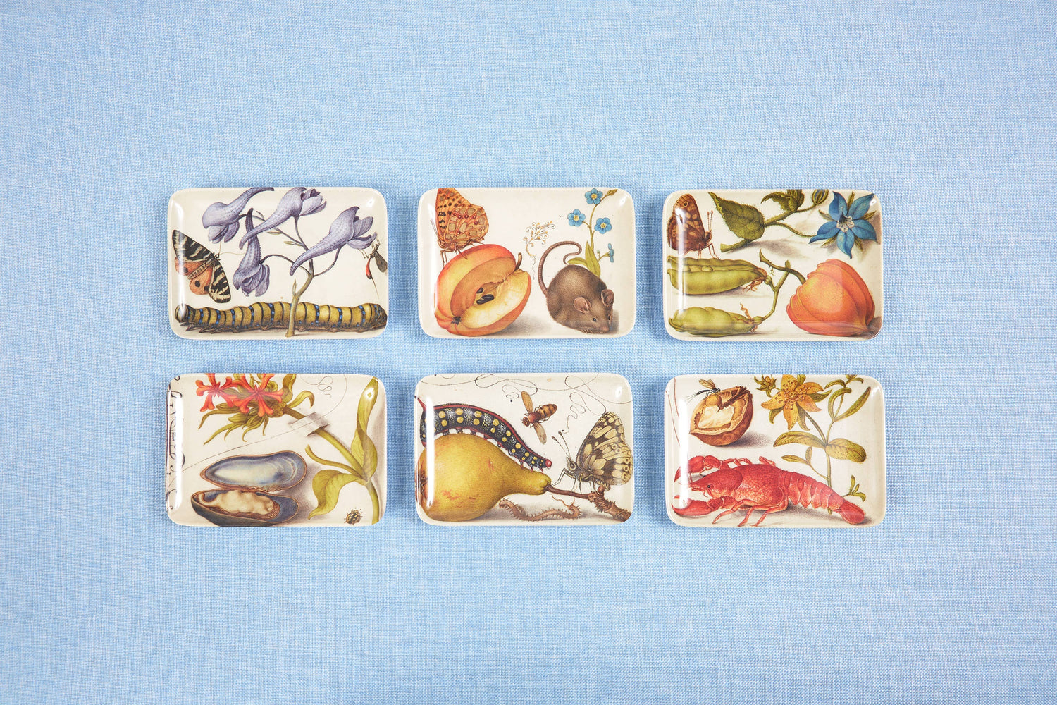 Botaniste Valet Trays Set of Six