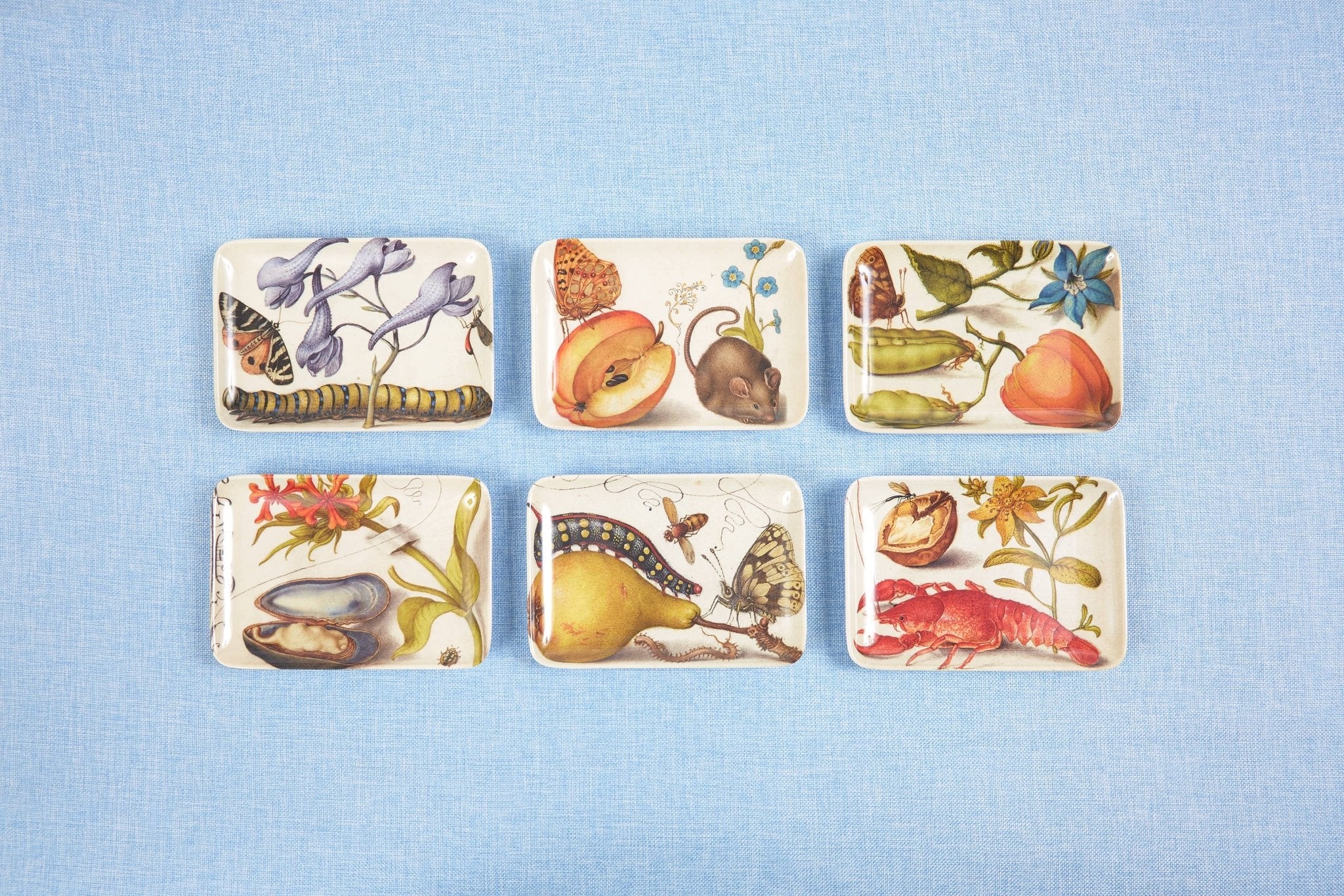 Botaniste Valet Trays Set of SixSiren SongAccessoryThe Red Thread Atelier