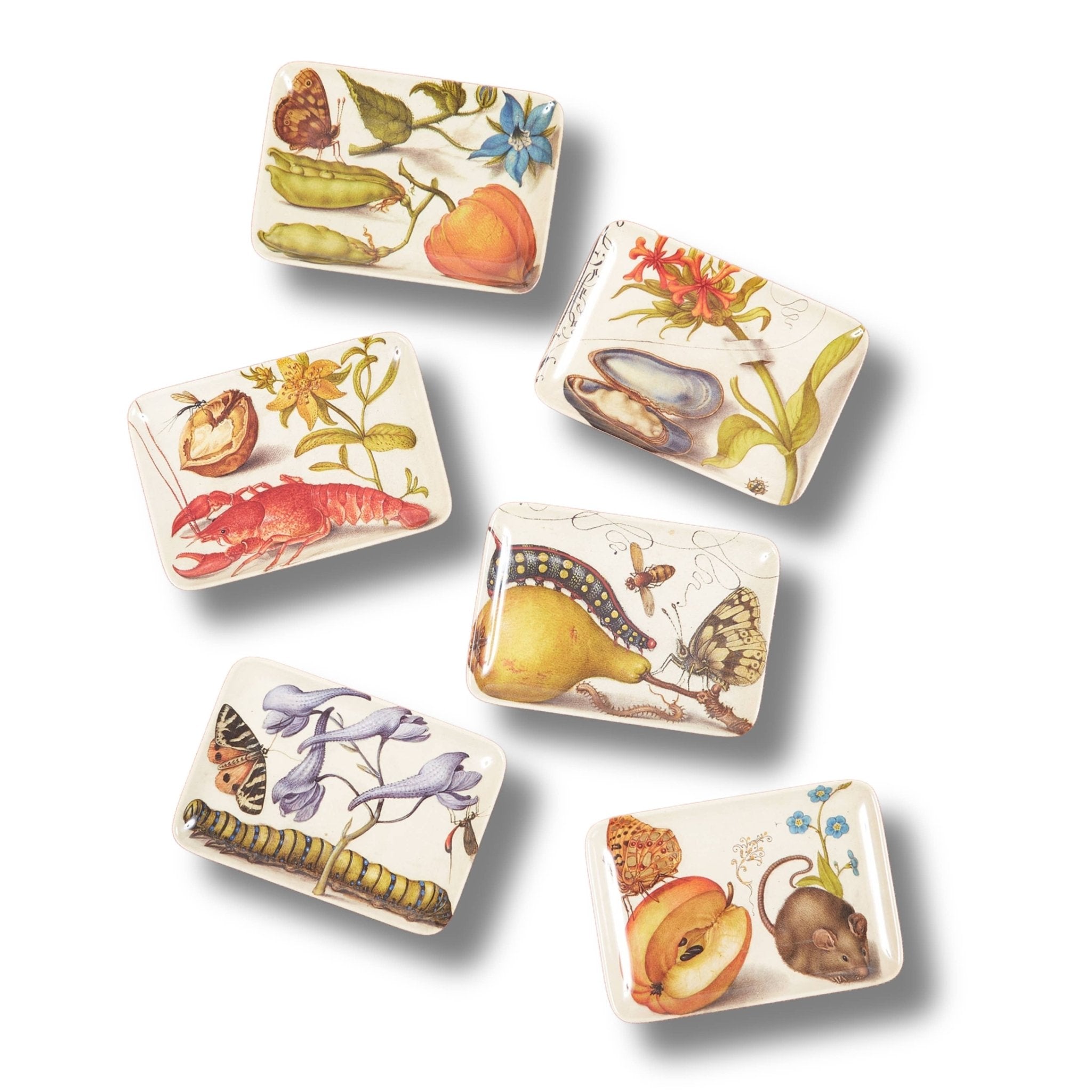 Botaniste Valet Trays Set of SixSiren SongAccessoryThe Red Thread Atelier