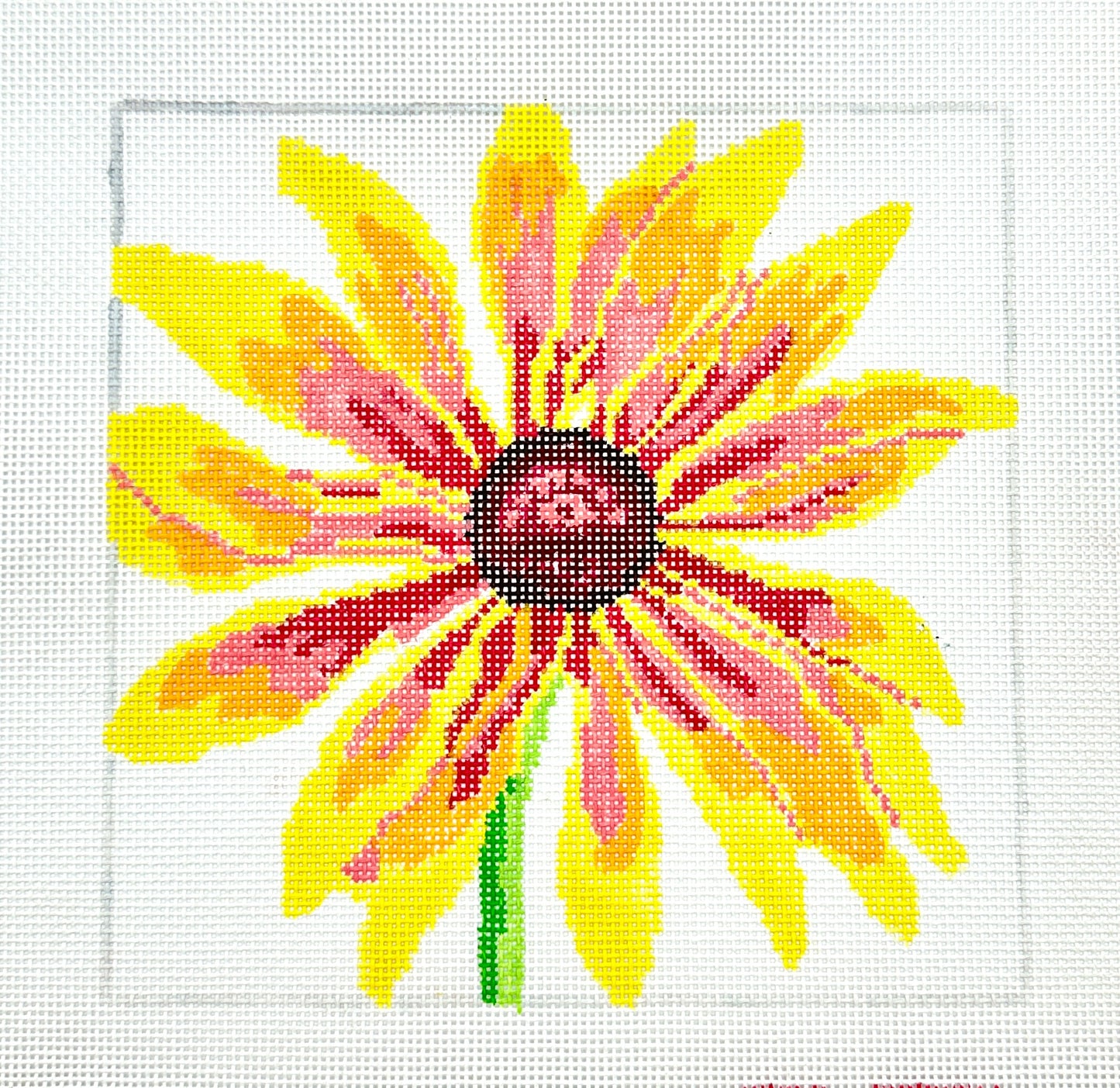 Brown Eyed Susan