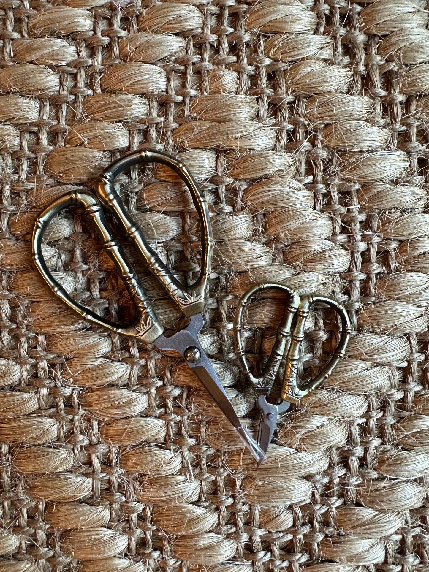 Bamboo Scissors