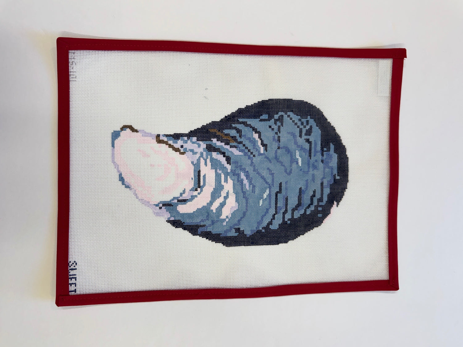 Mussel Shell