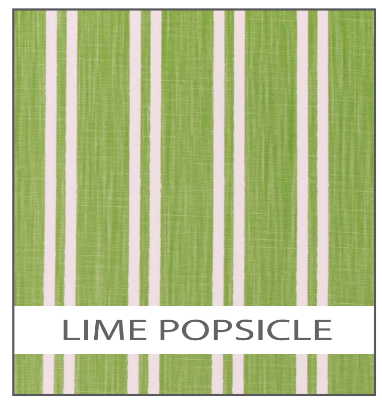 Porta Organizer Bag (two gallon size wide): Lime popsicle (lime green and white)