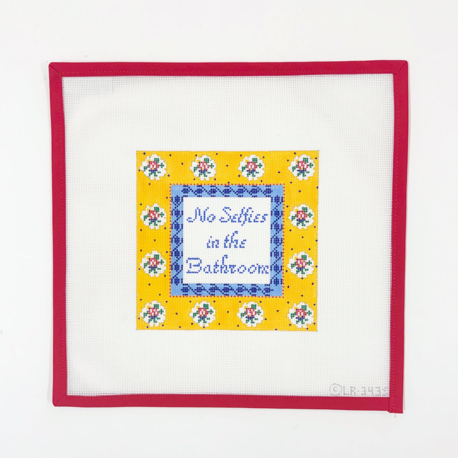 No Selfies in Bathroom