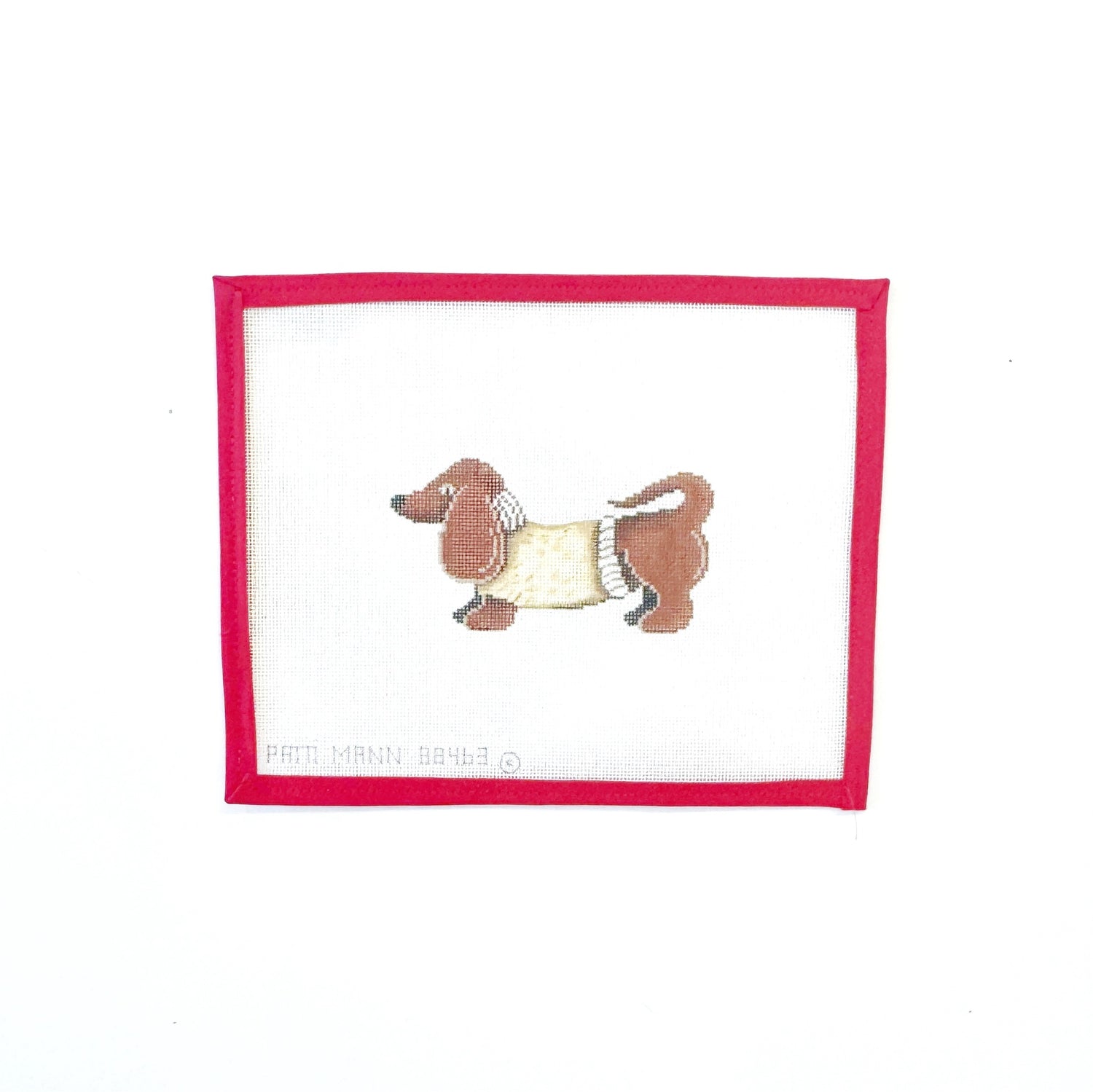 Dachshund in Sweater