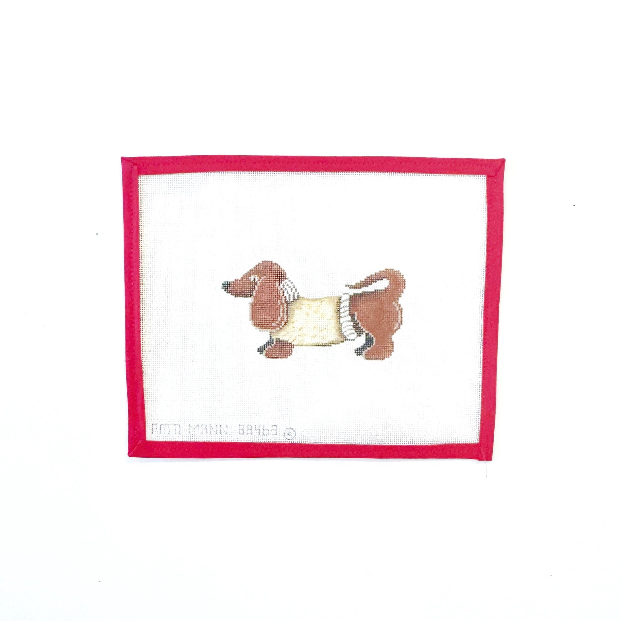 Dachshund in Sweater