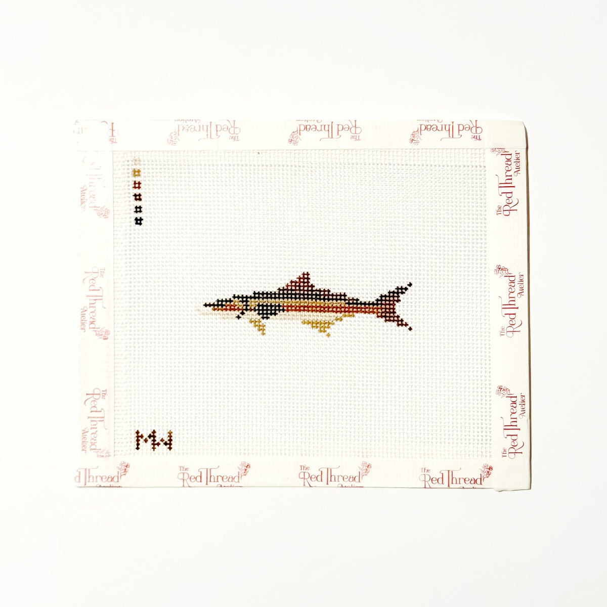 Cobia Mini