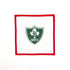 Irish RugbyPip & RooCanvasThe Red Thread Atelier