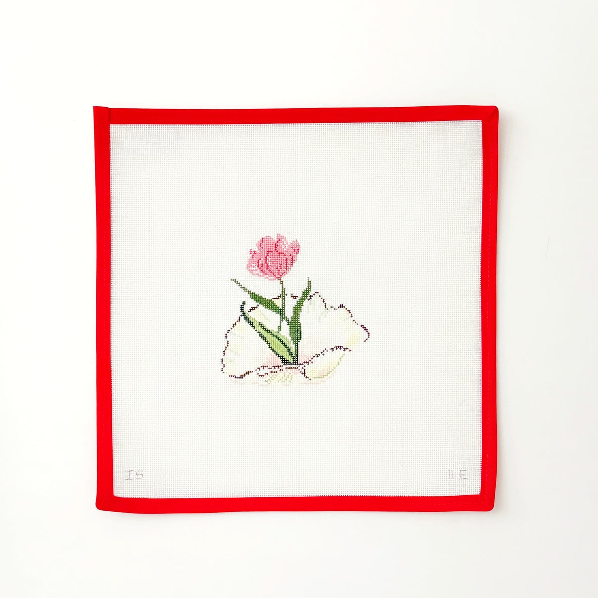 Shell Series - Rose