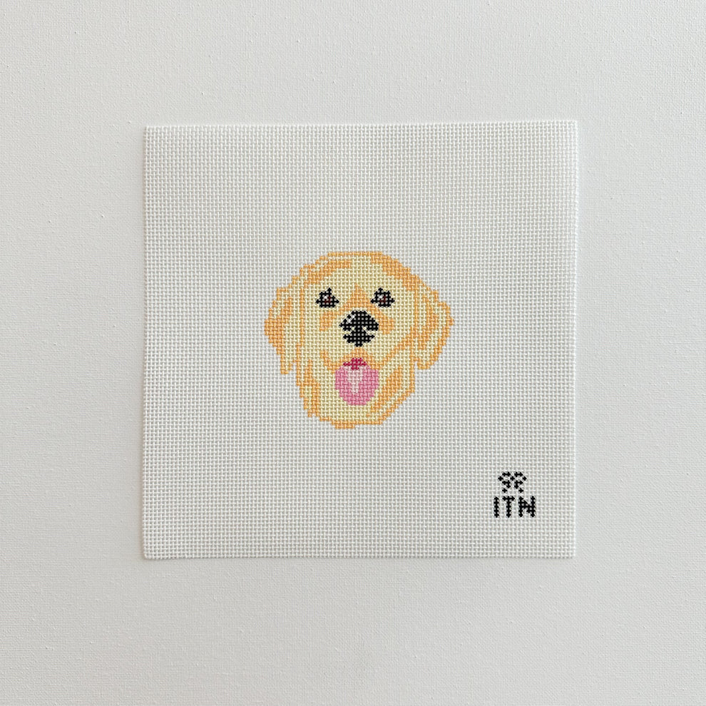 ITN-11 Golden Retriever