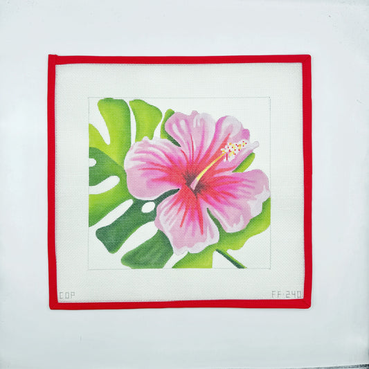 Hibiscus