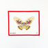 Large Butterfly - AutumnInitial KCanvasThe Red Thread Atelier