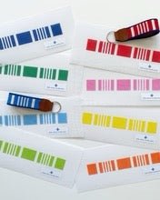 Ticking Stripe Key FobLittle stitches needleworksCanvasThe Red Thread Atelier