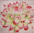 Regal Pink and Green Mum needlepoint canvas by Jean Smith