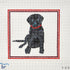 Black Lab with red frame needlepoint canvas